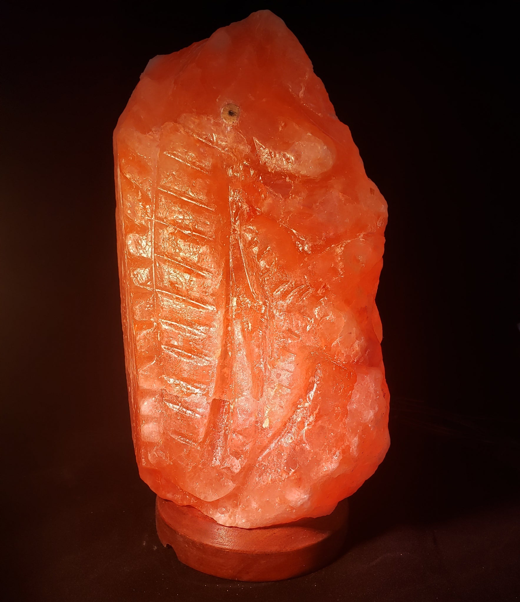 Seahorse Himalayan Salt lamp